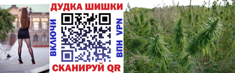 Купить закладки  Оленегорск  Бошки марихуана индика 
